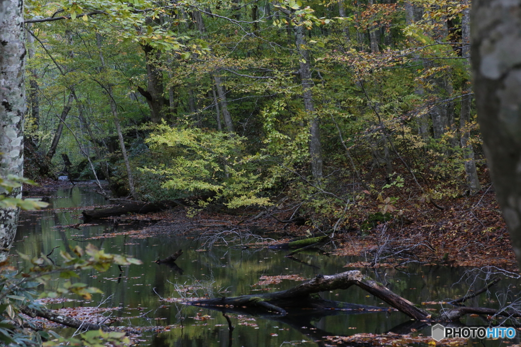 撮って出し(2025-10-27_06-40)-(Canon EOS 6D-90