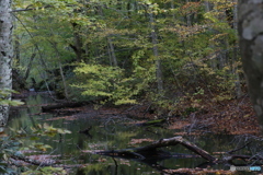 撮って出し(2025-10-27_06-40)-(Canon EOS 6D-90