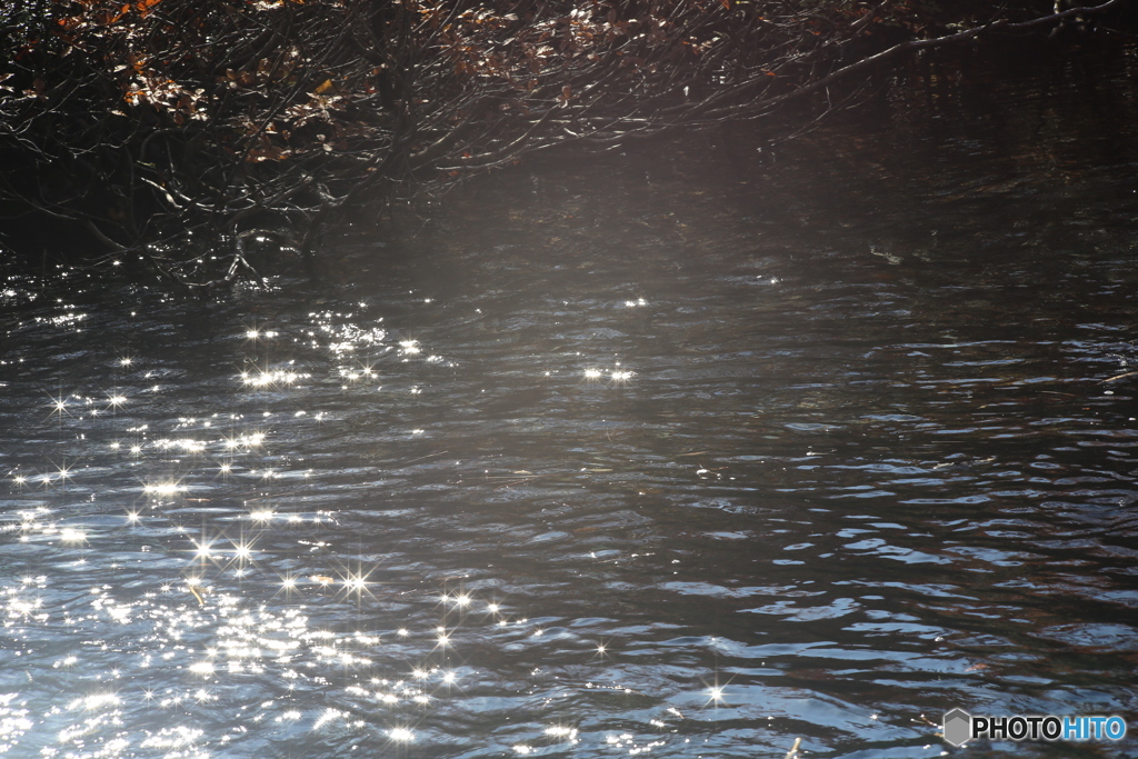 撮って出し(2025-11-04_10-09)-(Canon EOS 6D-10