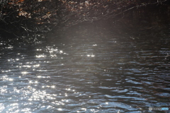 撮って出し(2025-11-04_10-09)-(Canon EOS 6D-10