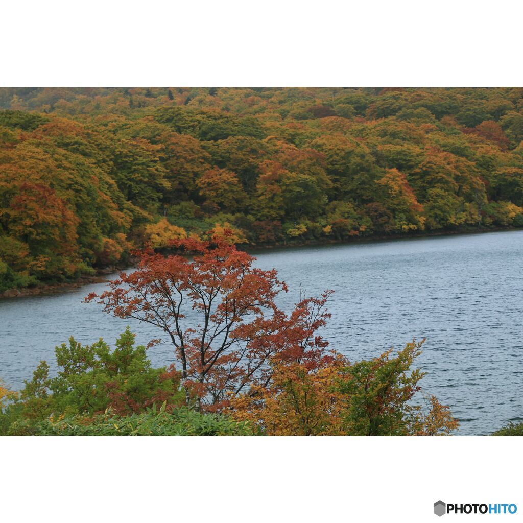 撮って出し(2023-10-15_13-11-14)-EF28-135mm f-