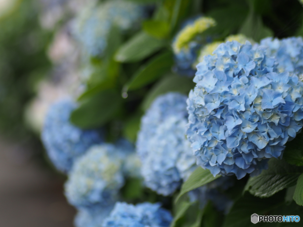 撮って出し-E-M5-0.0-23_06_23-13