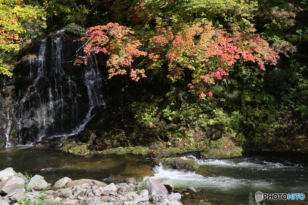 撮って出し(2025-10-27_11-43)-(Canon EOS 6D-50