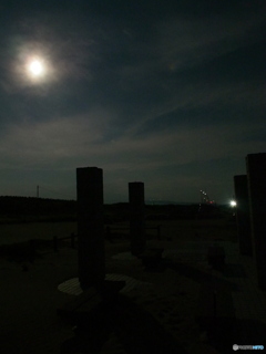 撮って出し-E-M5-14.0-23_08_29_P8295325-0