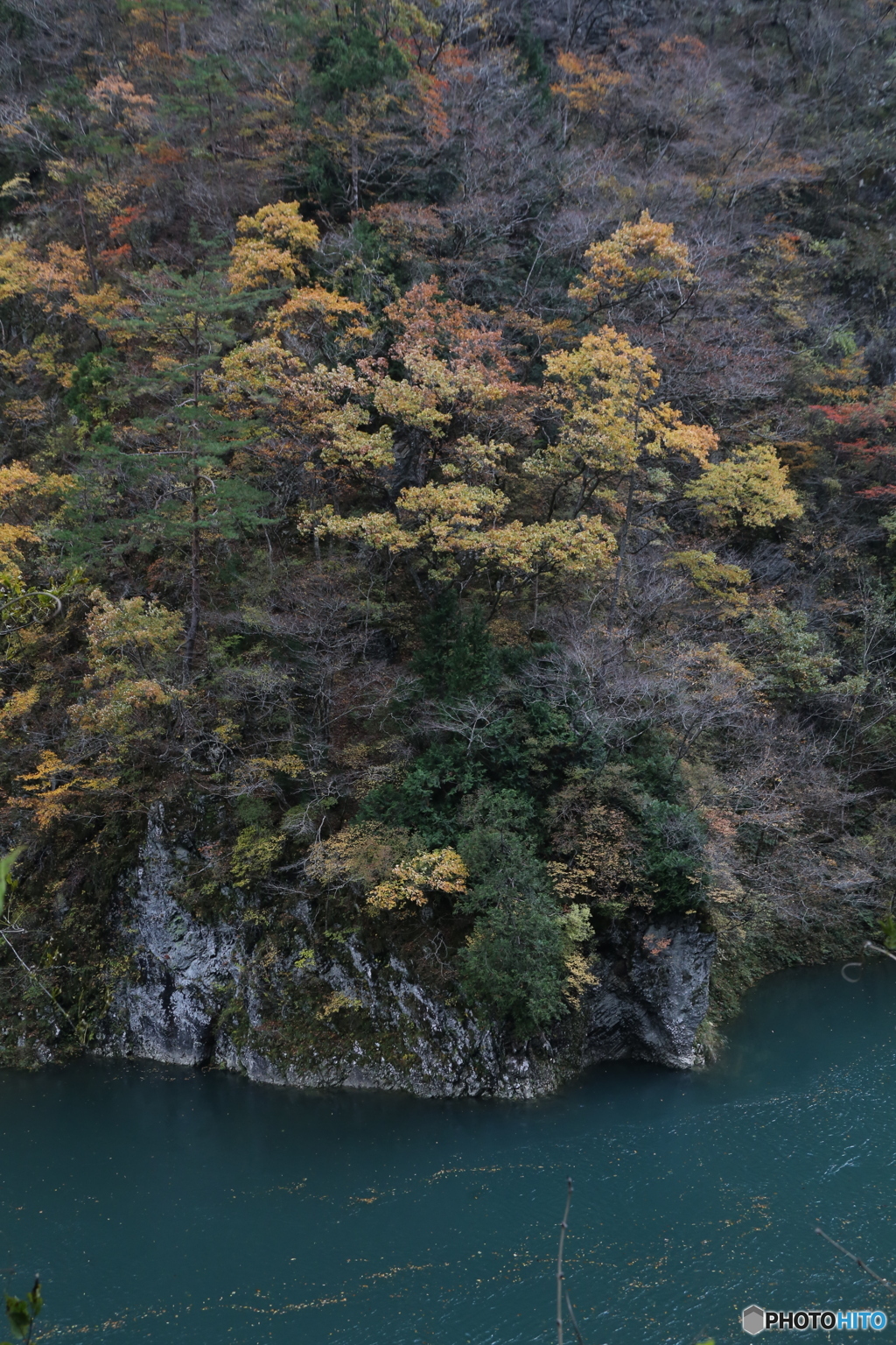 撮って出し(2025-11-07_12-44)-(Canon EOS 6D-35