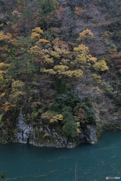 撮って出し(2025-11-07_12-44)-(Canon EOS 6D-35