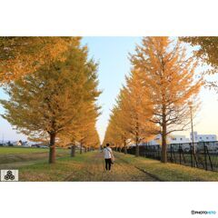 撮って出し(2023-11-03_16-11)-28-EF28-135mm f-