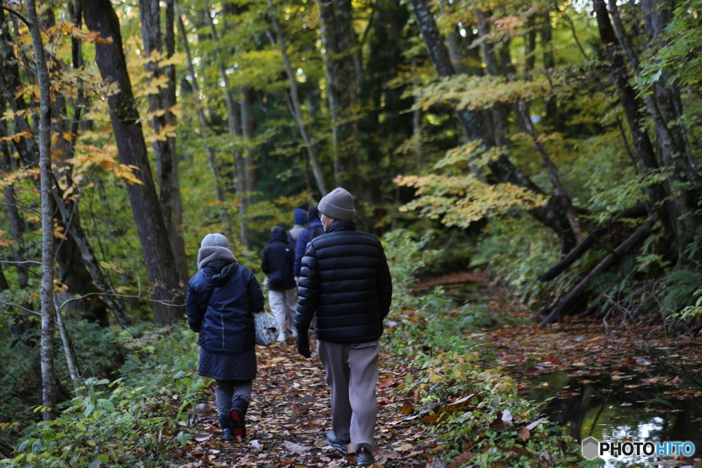 撮って出し(2025-10-27_06-43)-(Canon EOS 6D-90