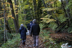 撮って出し(2025-10-27_06-43)-(Canon EOS 6D-90