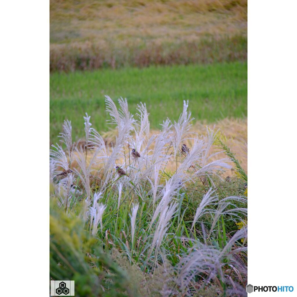 撮って出し(2023-10-12_15-31)-50--X-E1_1