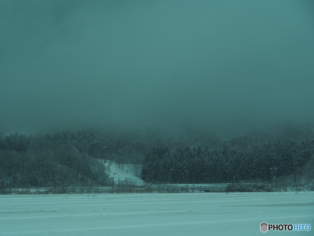 撮って出し(2024-03-03_07-47)-(E-M5-56(OLYMPUS