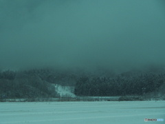 撮って出し(2024-03-03_07-47)-(E-M5-56(OLYMPUS