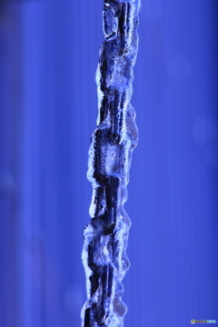 撮って出し(2025-01-11_11-16)-(Canon EOS 60D-2