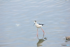 撮って出し(2025-04-27_12-37)-(Canon EOS 60D-2