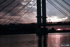 撮って出し-Canon EOS 60D-54.0-23_09_29_IMG_45