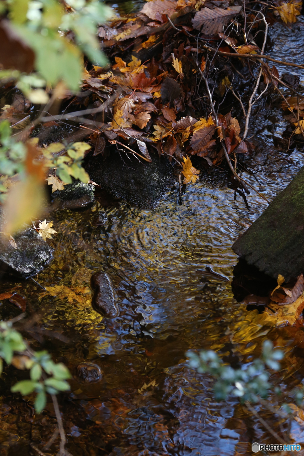 撮って出し(2025-11-04_09-18)-(Canon EOS 6D-13