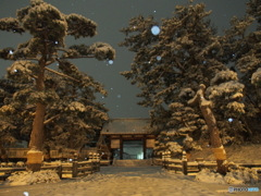 撮って出し(2024-02-21_23-10)-(E-M5-14(OLYMPUS