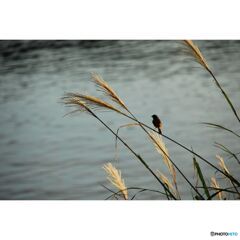 撮って出し(2023-07-06_03-10)--250_2