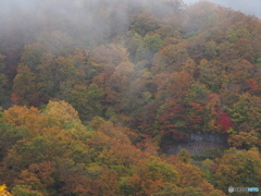 撮って出し(2025-10-26_14-02)-(E-M5-52(OLYMPUS