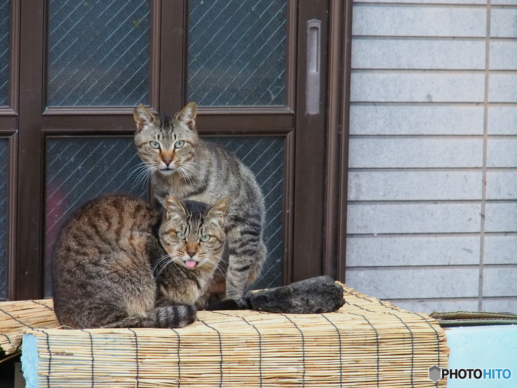 撮って出し-E-M5-135.0-41_04_15-0