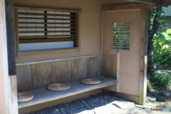 撮って出し(2024-05-23_13-34)-(Canon EOS 6D-50