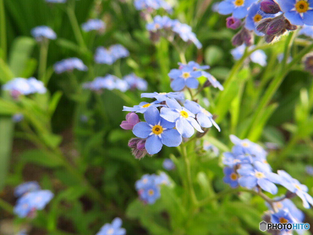 撮って出し-Canon PowerShot SX280 HS-4.5-41_04
