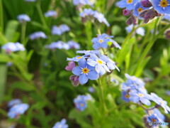 撮って出し-Canon PowerShot SX280 HS-4.5-41_04