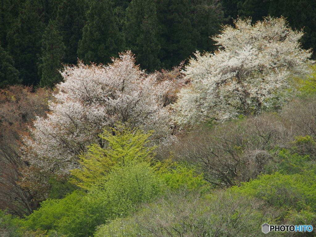 撮って出し-E-M5-150.0-41_04_25-3
