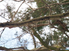 撮って出し-E-M5-150.0-41_02_05-11