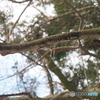 撮って出し-E-M5-150.0-41_02_05-11