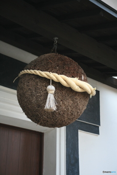 撮って出し(2024-11-06_15-03)-(Canon EOS 5D-73