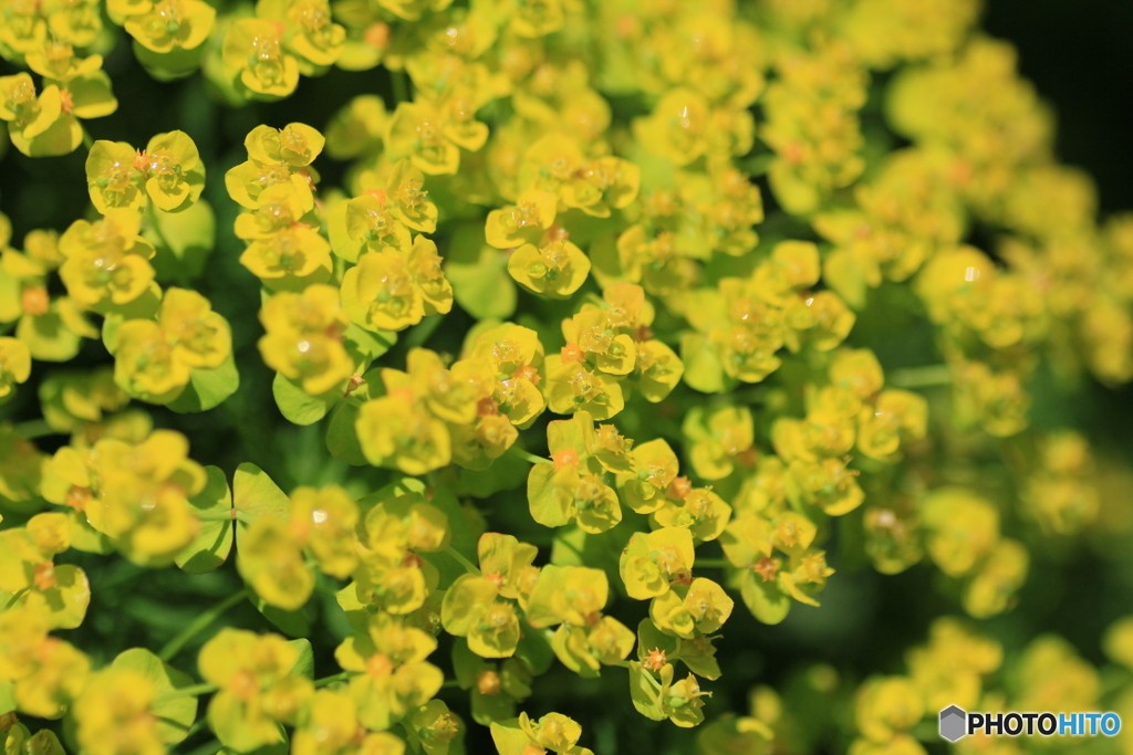 撮って出し-Canon EOS 60D-90.0-23_05_17-2