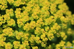 撮って出し-Canon EOS 60D-90.0-23_05_17-2