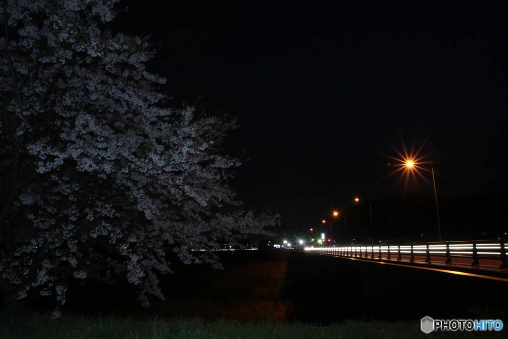 撮って出し(2024-04-18_19-08)-(Canon EOS 6D-0(