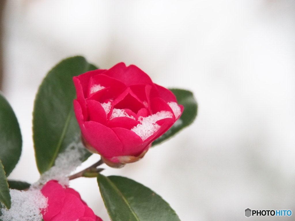 撮って出し(2024-02-22_07-29)-(E-M5-150(OLYMPU