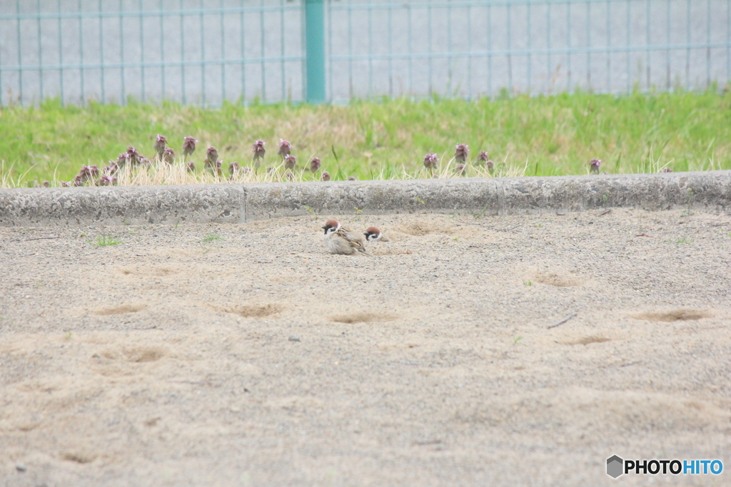 撮って出し(2025-04-25_16-44)-(Canon EOS 60D-2
