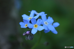 撮って出し-Canon EOS 60D-90.0-23_05_17-15