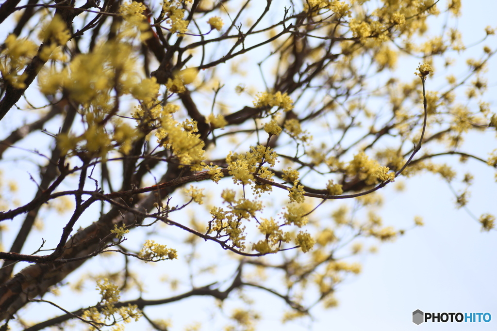 撮って出し(2025-04-07_12-06)-(Canon EOS 6D-90