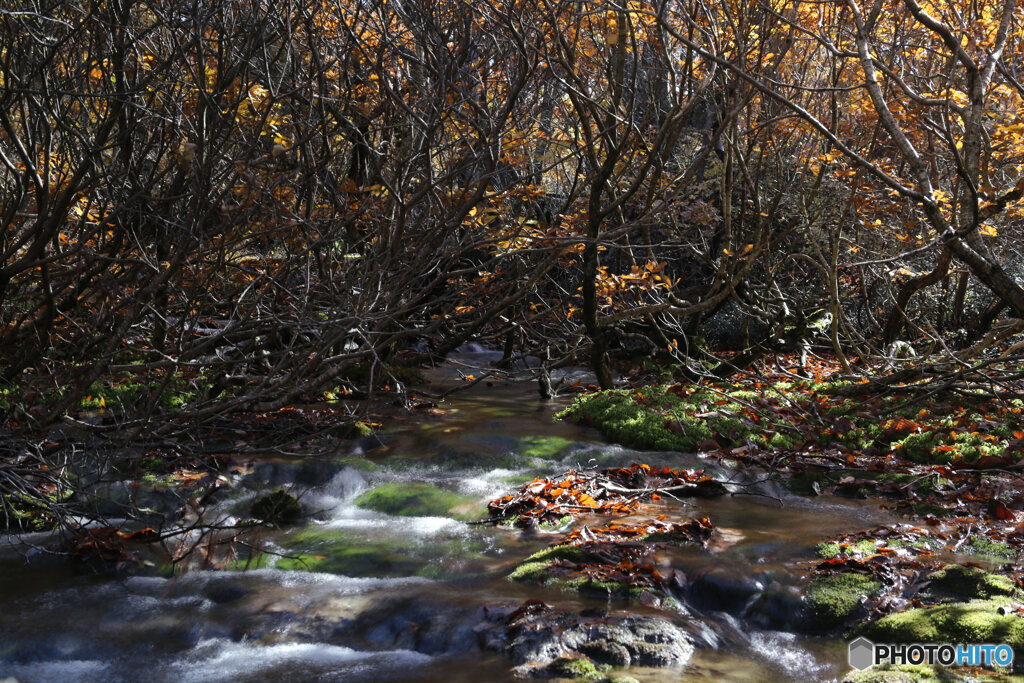 撮って出し(2025-11-04_10-13)-(Canon EOS 6D-53