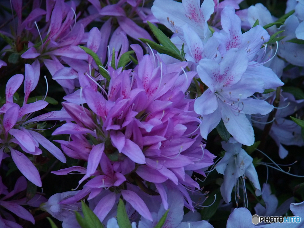 撮って出し-E-M5-150.0-23_05_09-3