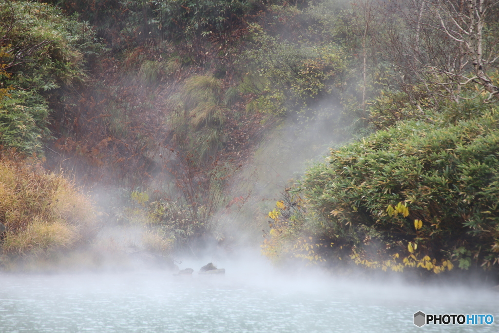 撮って出し(2025-10-27_10-35)-(Canon EOS 6D-30