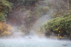 撮って出し(2025-10-27_10-35)-(Canon EOS 6D-30