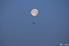 撮って出し-Canon EOS 60D-250.0-23_06_06-0