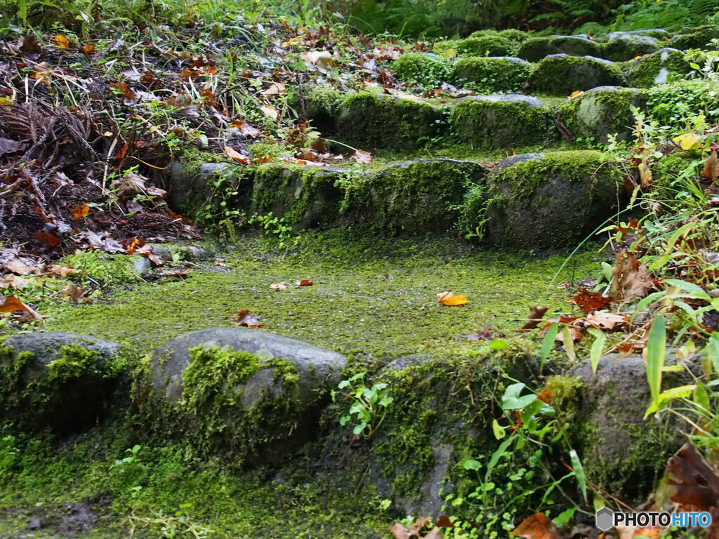 撮って出し-E-M5-25.0-22_11_02-0