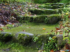 撮って出し-E-M5-25.0-22_11_02-0