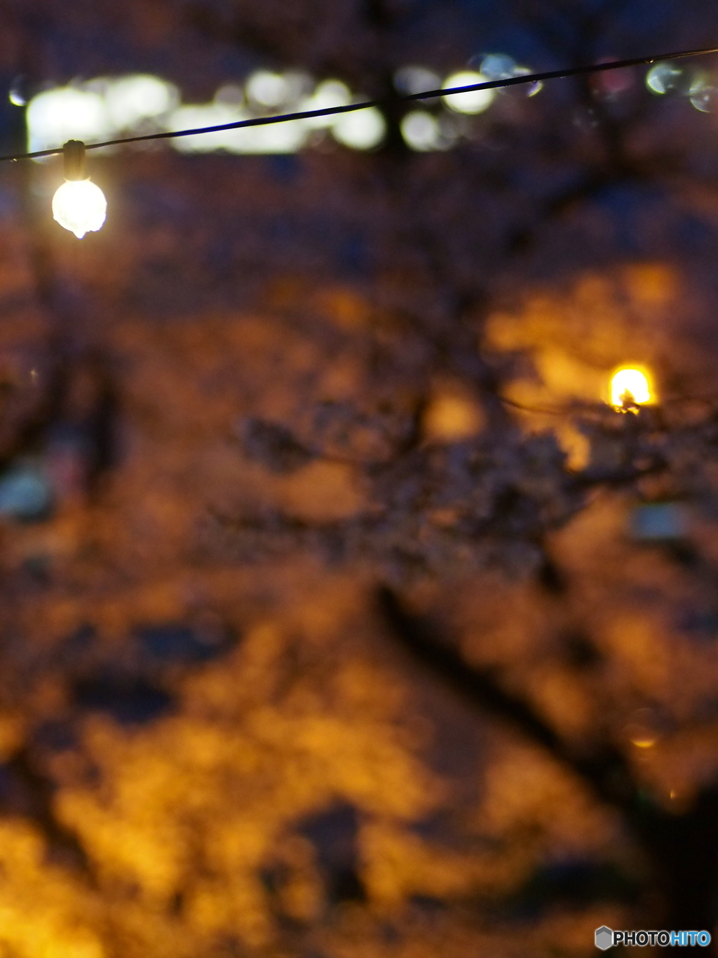 撮って出し(2025-04-18_18-31)-(E-M5-0())_02