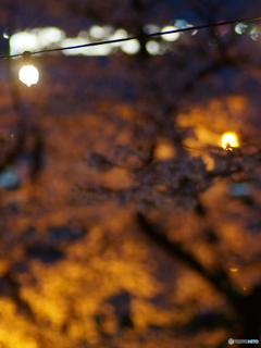 撮って出し(2025-04-18_18-31)-(E-M5-0())_02