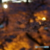 撮って出し(2025-04-18_18-31)-(E-M5-0())_02