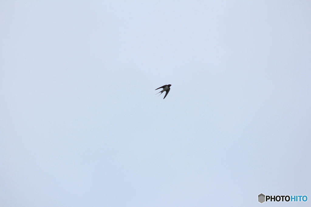 撮って出し(2025-04-18_09-14)-(Canon EOS 60D-2