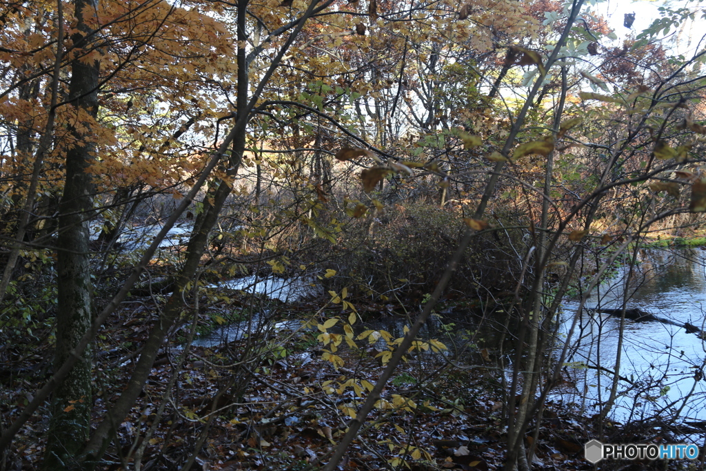 撮って出し(2025-11-04_09-26)-(Canon EOS 6D-47